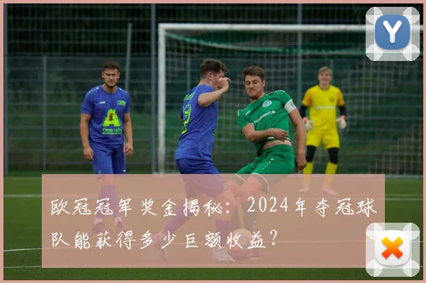 欧冠冠军奖金揭秘：2024年夺冠球队能获得多少巨额收益？