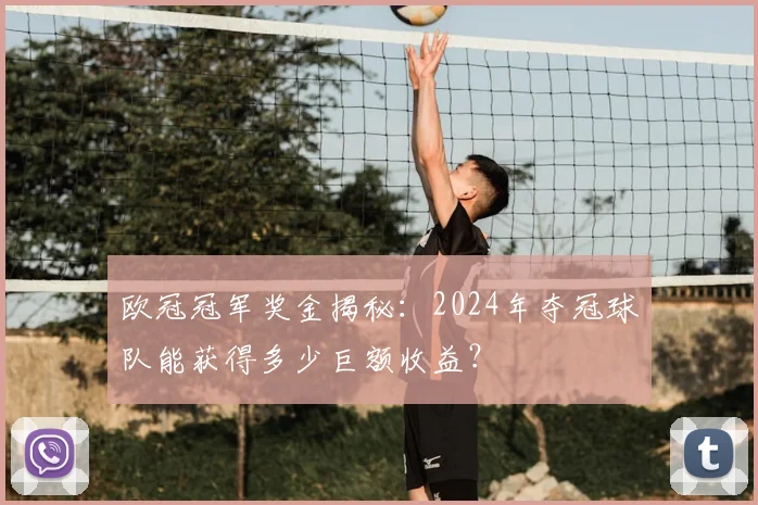欧冠冠军奖金揭秘：2024年夺冠球队能获得多少巨额收益？
