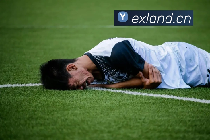 App Interface Preview