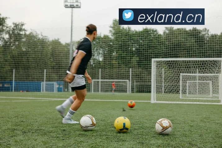 开云在线官网登录APP 封面图